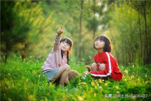 八公犬物语在线观看:摄影“尼康”党们，是什么原因让你当初选了尼康？