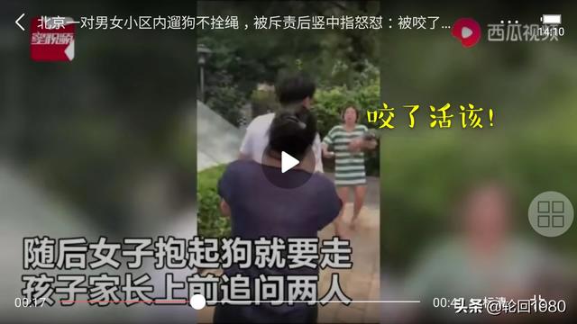 最萌的狗:最萌的狗排名 对于史上“最萌吐舌”狗主人，你有什么想说的？
