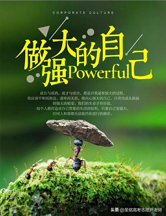 张小雨人艺体艺术:你希望孩子走艺术生吗为何
