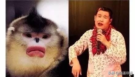 沈春阳图片:为什么有些人攻击沈春阳？