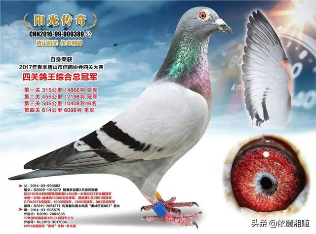 夏练三伏,冬练三九夏练三伏是什么意思？