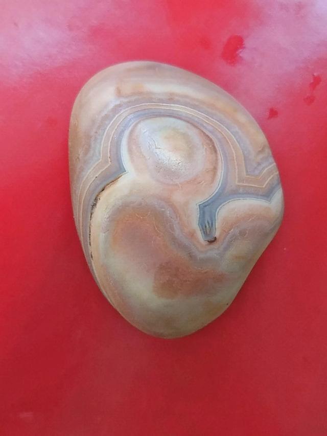 天然大化石原石图片,中国最具影响力的天然奇石有哪些？