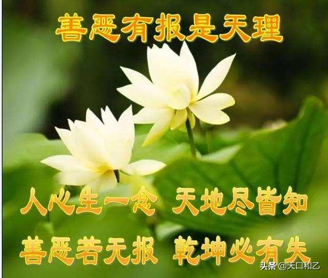 其他网友观点相信天意,其实就是相信大自然规律,这不是什么迷信,只有