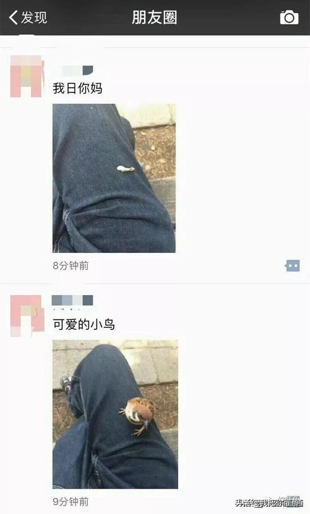 2020年，有哪些网络<a href=https://maguai.com/list/39-0-0.html target=_blank class=infotextkey>搞笑</a>梗