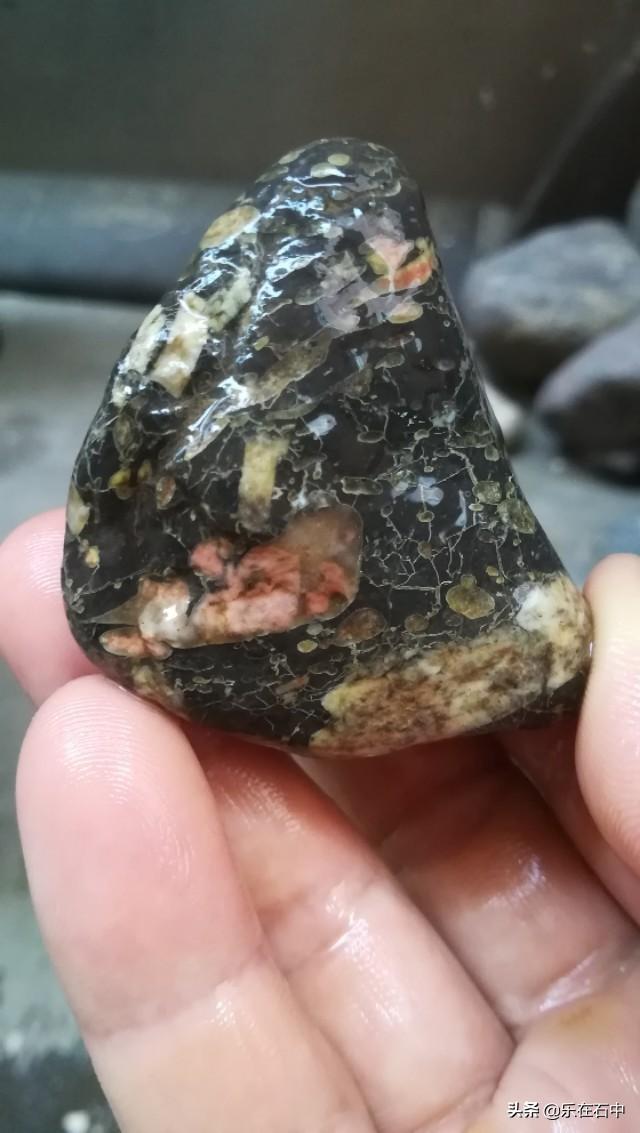 晒晒你的文玩宝贝。都是怎么保养的？插图103