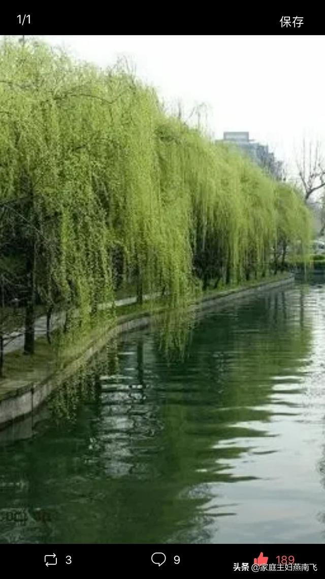 离婚后的马伊琍的生活真的更潇洒了吗？
