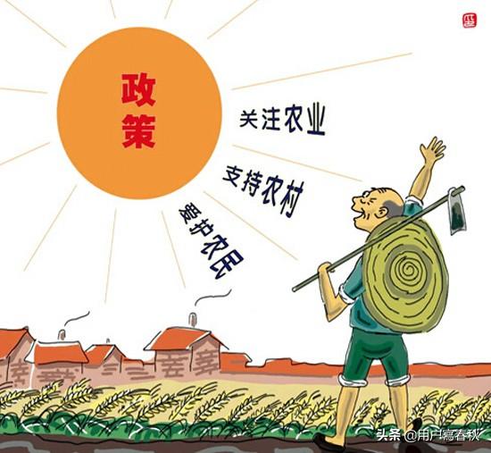 三农政策是指什么呀？请举例说明？