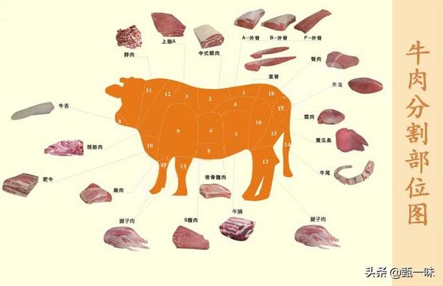 牛肉选择什么部位，才可以炖烂、不柴为何