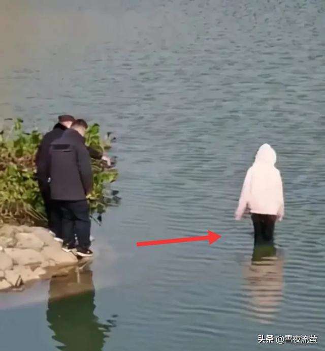 消防员救狗跳粪坑得网友称赞:如果看到有人落水，你会跳河施救吗？