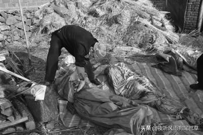 国内有没有重大著名的女性犯罪的案件？