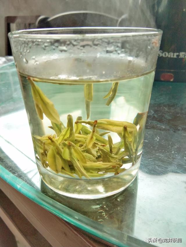 信阳的茶叶,乌牛早茶叶适应在信阳茶区吗？