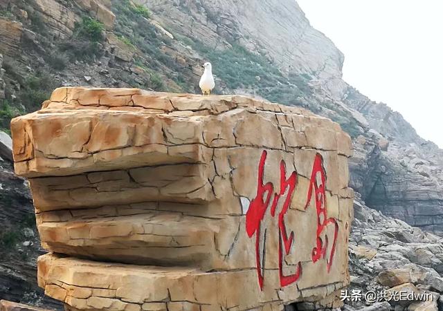 蛇吃鼠半年,鼠吃蛇半年含义是什么？