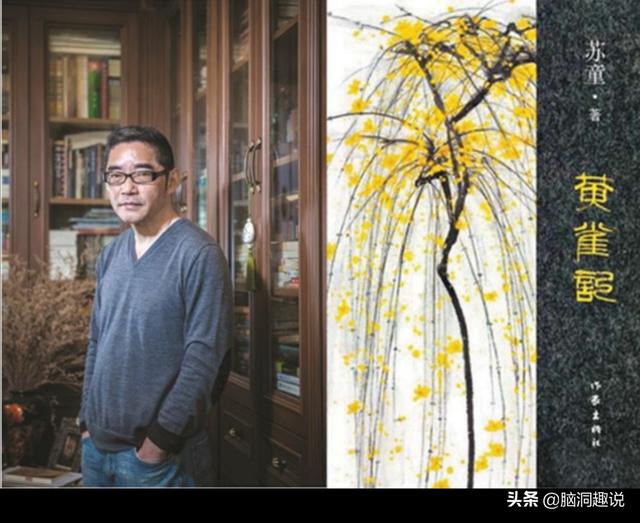 黄雀记:如何评价苏童茅盾获奖作品《黄雀记》？