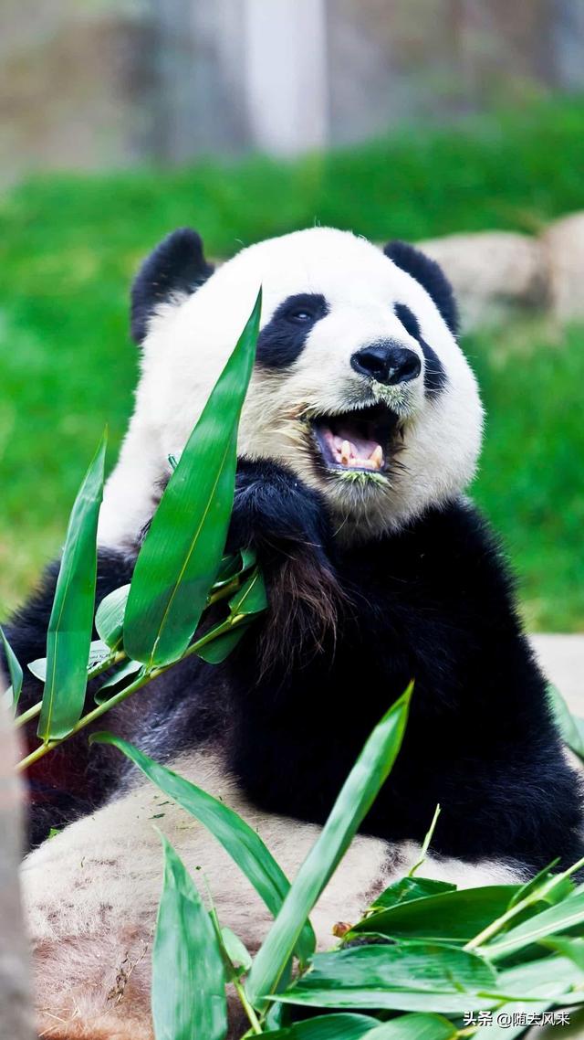 哪些游戏花钱少？