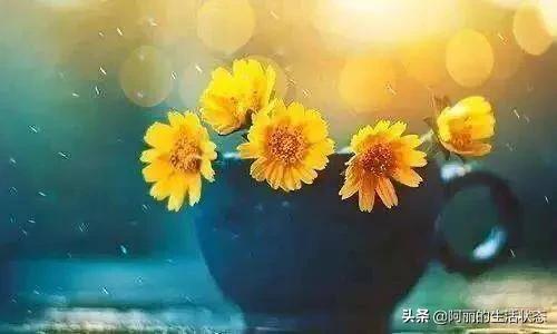 有人借了钱不还怎么办？