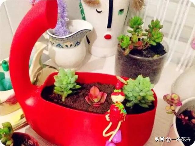 洗衣液桶怎样做花盆？