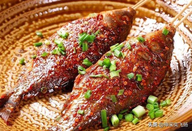 淡水鱼种类以及图片:你钓鱼最喜欢钓什么样的淡水鱼？