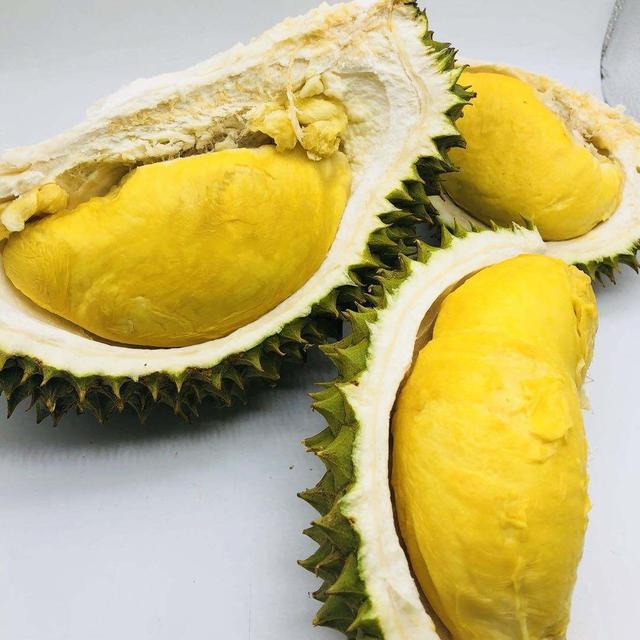 伊纳宝:为什么榴莲树的承重能力那么强？