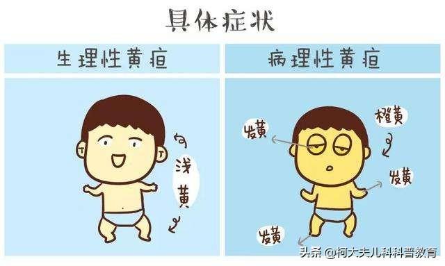 黄疸病是由什么引起的:黄疸病是什么原因造成的 小麦得了黄疸这是什么原因，为什么？