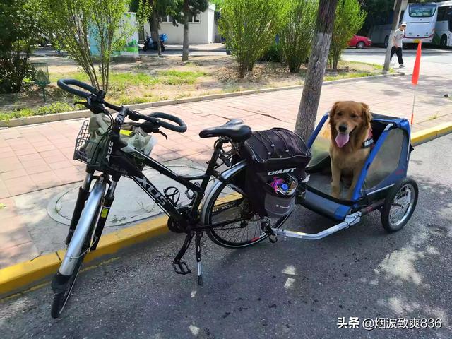 什么牌子的单车好骑？