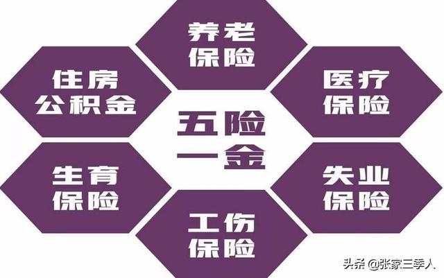 首次缴纳社保_社保缴纳在外地有什么影响_社保缴纳情况