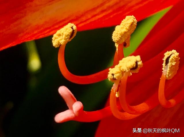 发现美的眼睛去发现生活中的美,你用手机拍过最得意的一张照片是哪一张？