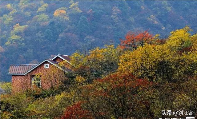 成都骑龙幼儿园，成都的近郊哪个区县居住生活最方便