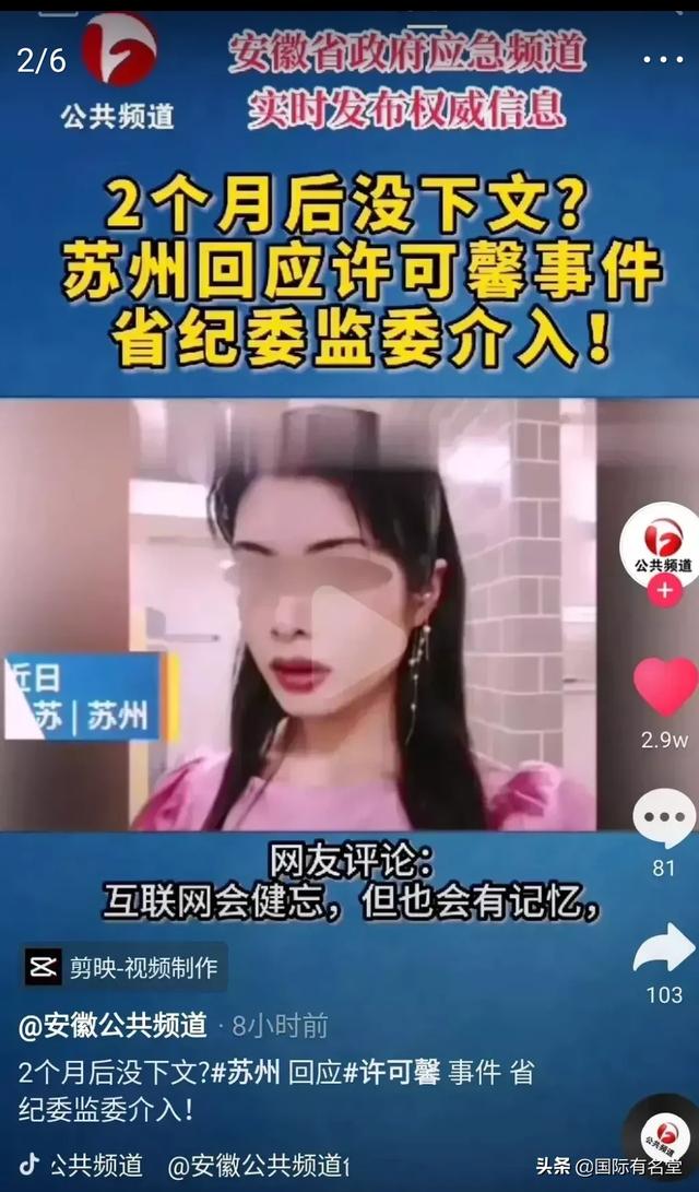 小狗被染成皮卡丘走红:“许可馨事件”跟“独臂篮球少年”不一样的家庭。区别大吗？