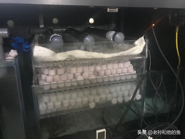 养鱼技巧:养鱼先养水，怎么才能养好水呢？