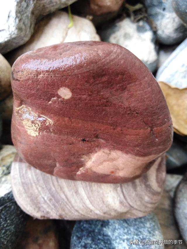 天然大化石原石图片,你收藏的天然奇石有哪些已经升值了？