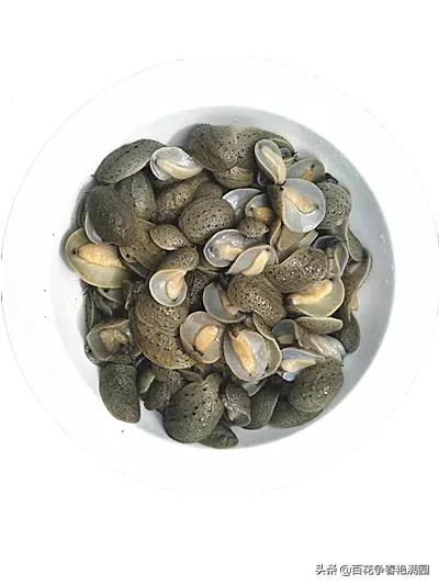 海癞子,也叫石磺,土鸡,海蛤,土海参.