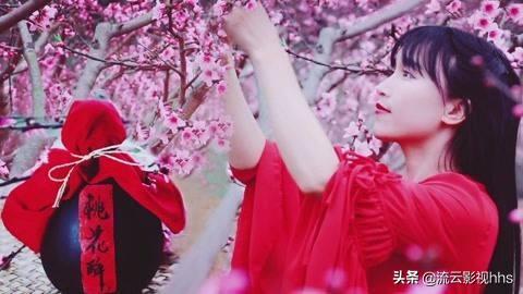 李子柒品牌被经济公司注册,对李子柒意味着什么？