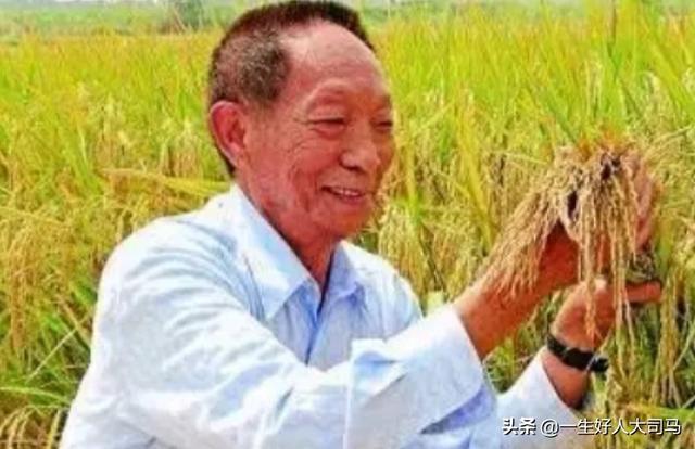 你认为袁隆平与杨振宁谁的贡献更大？
