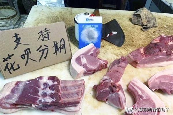 今天养猪到底有多挣钱？