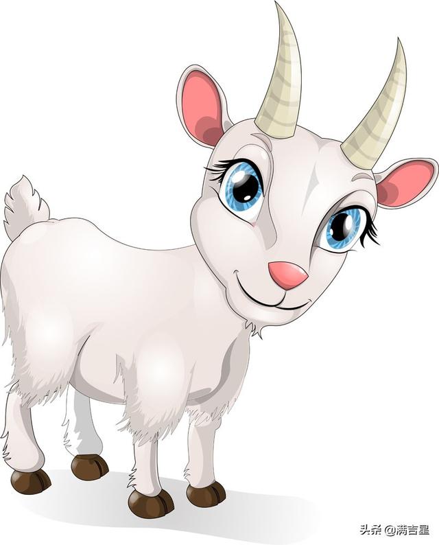 头条问答 - 农村养奶羊除了羊奶,羊肉,还有什么其他收入?(22个回答)