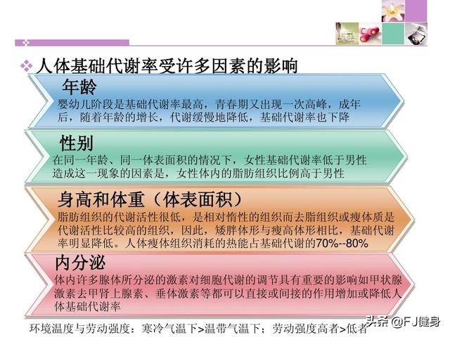 针对基础代谢 Basal Metabolic Rate 已经受损的节食减肥人群 有没有什么好的恢复基代的方法 悟空问答