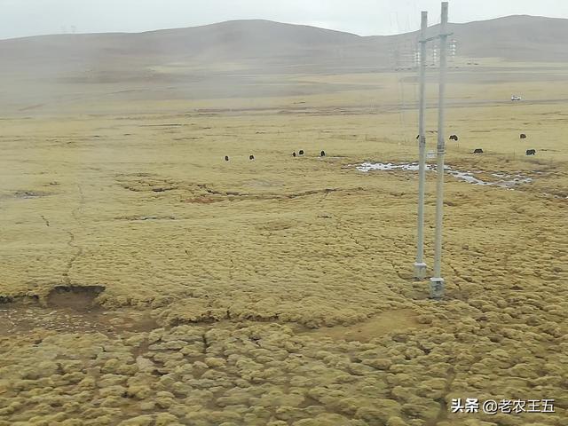 非常偏僻的农村适合开办什么工厂或者加工厂？