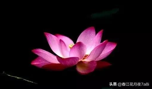 水性杨花、表里不一是指什么样的人？