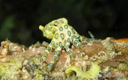 宇宙十大恐怖生物，宇宙中有哪些让人细思极恐的事