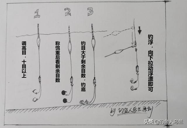 印度小竹节草漂着养:我是钓鱼学徒，想问问浮钓怎么钓啊，不要笑话我？