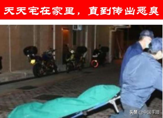 天天宅在家里,什么都不干,是什么体验？