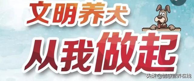 狗狗绊倒八旬老太:佛山老人被狗绊倒死亡，爱狗人士称女孩和狗主是无辜的，认同吗？