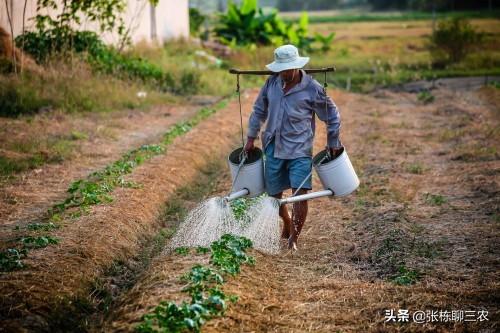 伯恩山 寿命短的原因:为什么农村人寿命长，而城市人寿命短呢？