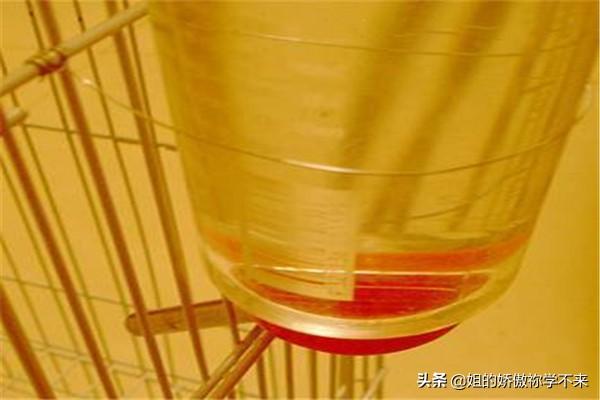 兔用碗式饮水器:怎样让兔用饮水器不漏水？