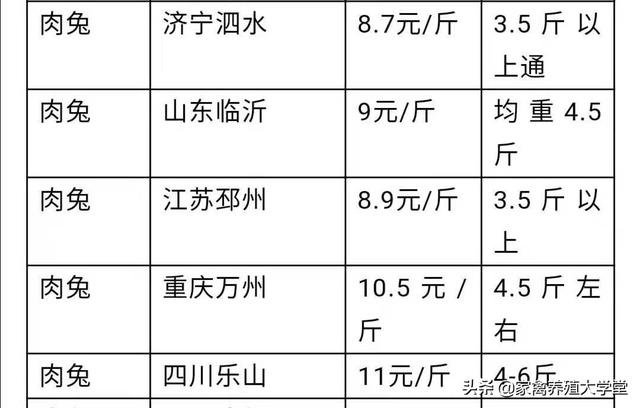 农村养殖兔子目前有没有发展前景？销路怎么样？多少钱？