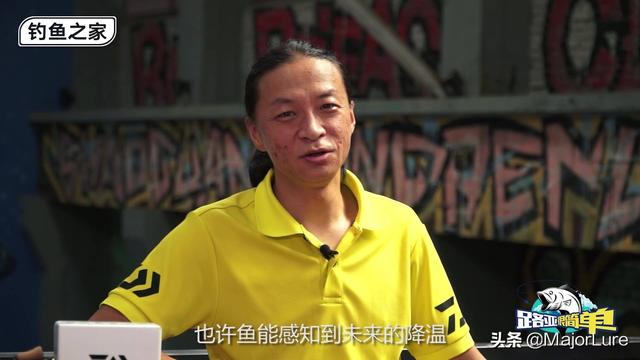 狗万怎么玩h:路亚怎么玩？小白怎么玩路亚？