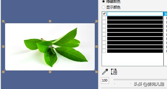 用cdr(coreldraw)怎么把图片转为矢量图?