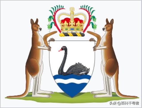 约克夏梗和澳大利亚梗:澳洲野狗和中华田园犬那么相似，它们之间有联系吗？