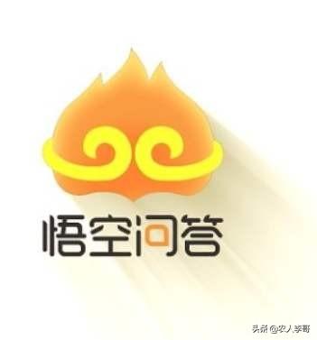 无本农民除了打工种地,还能做什么挣钱？