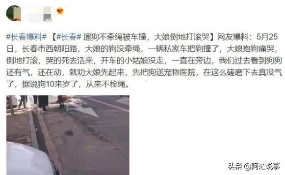 长春当猫爱上狗:长春一大娘遛狗不拴绳，狗被车撞后，倒地哭闹打滚，怎么回事？